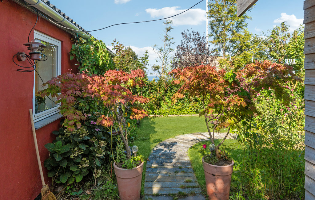 Ferienwohnung - Tejn , Dänemark - I56405 8