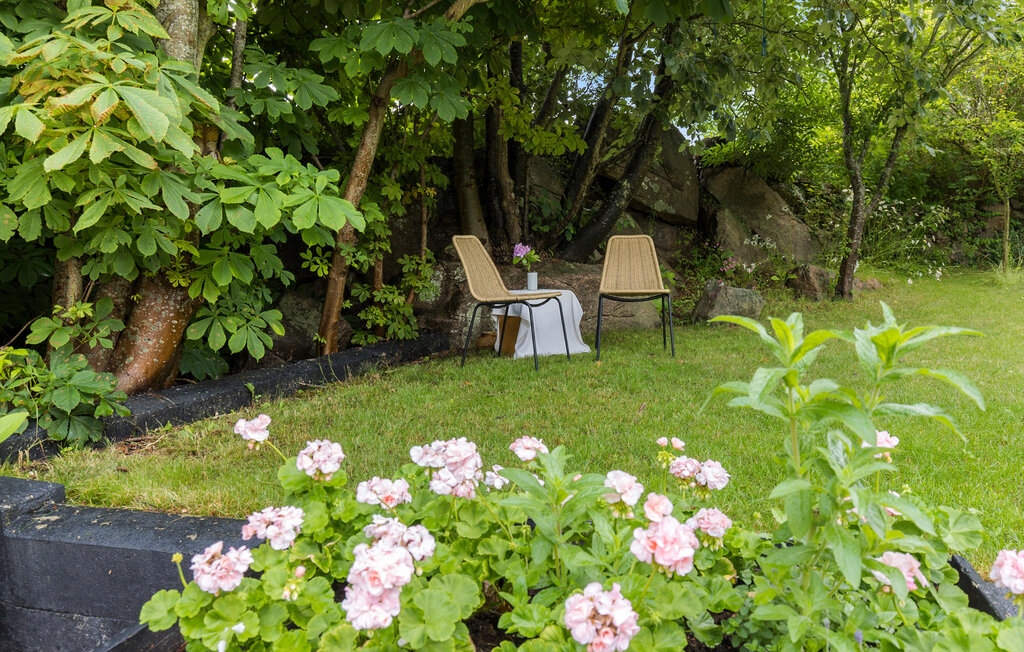 Feriehus - Tejn , Danmark - I56062 12