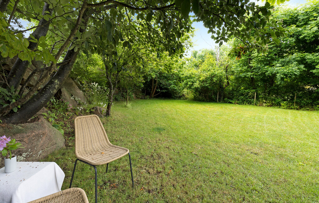 Feriehus - Tejn , Danmark - I56062 13