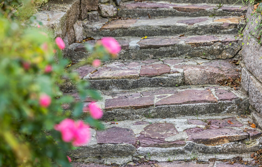 Ferienhaus - Sandvig , Dänemark - I56200 14