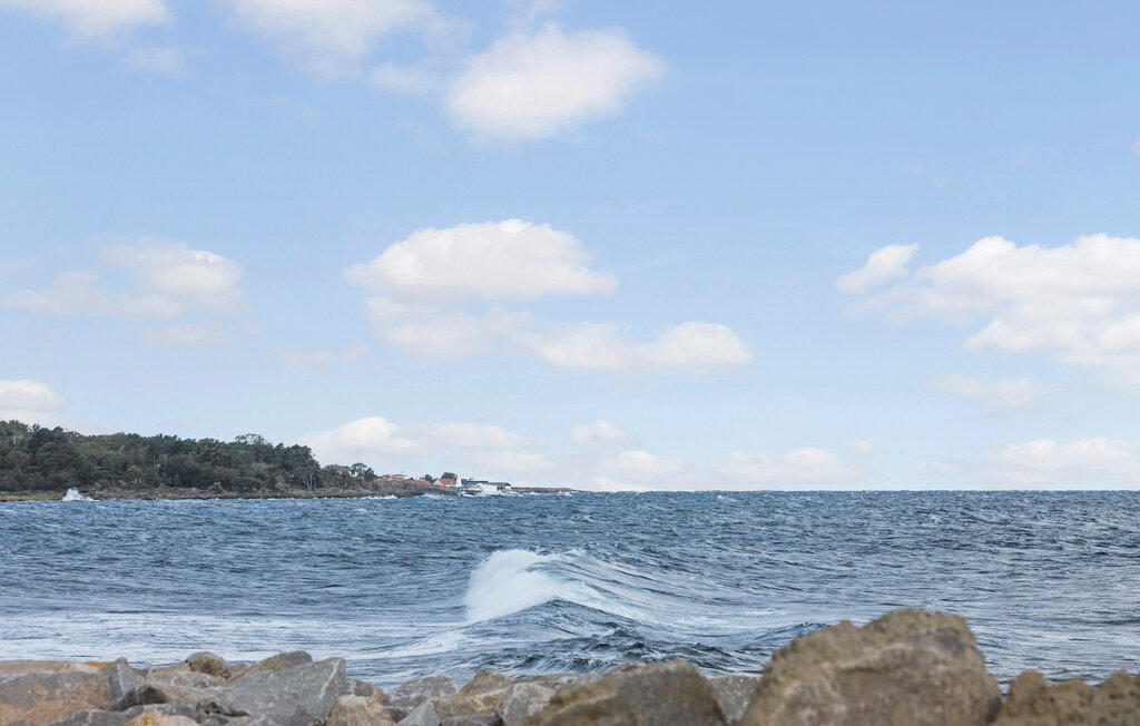 Ferienwohnung - Tejn , Dänemark - I56616 16