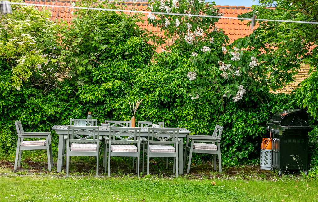 Feriehus - Tejn , Danmark - I56022 14