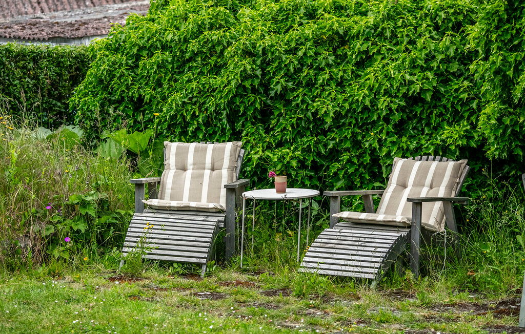 Feriehus - Tejn , Danmark - I56022 15