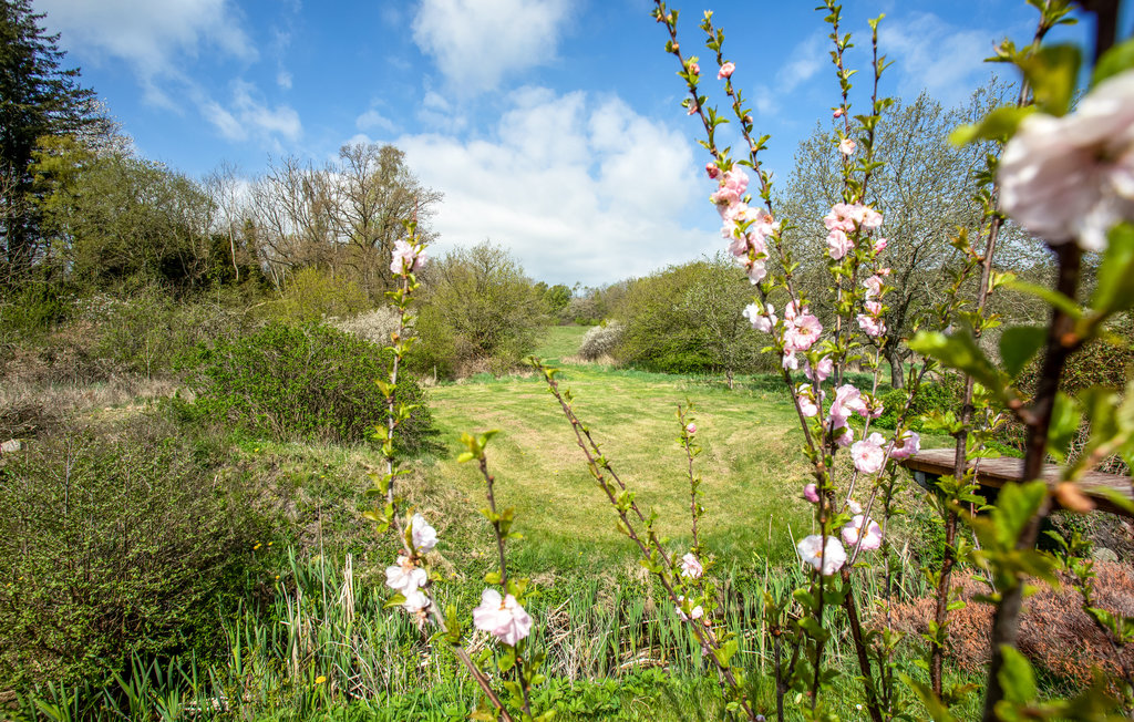 Lejlighed - Gudhjem , Danmark - I57001 9