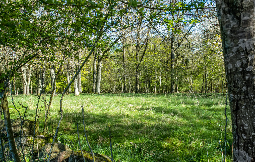 Lejlighed - Rø , Danmark - I57060 17