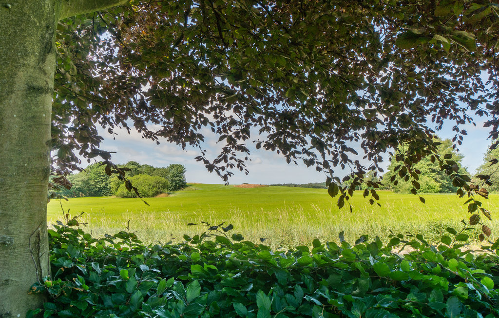 Ferienhaus - Rø , Dänemark - I57020 16