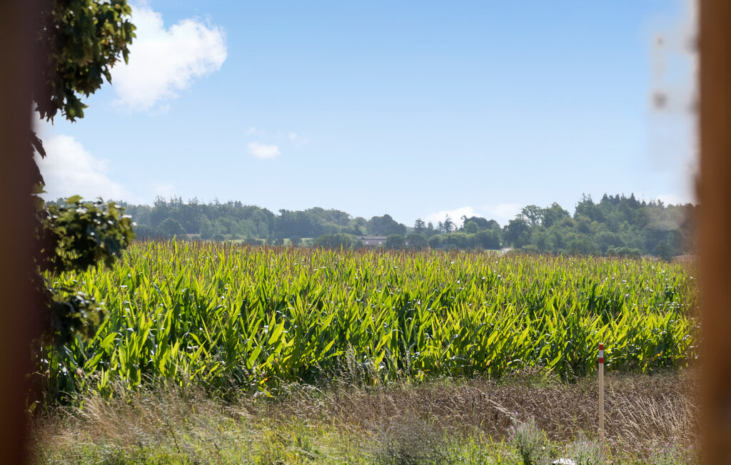 Feriehuse - Rønne , Danmark - I57031 15