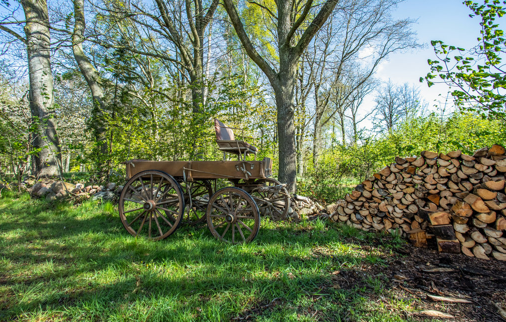 Helle, antiquarisch eingerichtete Ferienwohnung im Norden Bornholms.

In einem ländlichen, naturschönen Gebiet finden Sie zwischen biologisch bewirtschafteten Feldern diese stimmnungsvolle Ferienwoh..