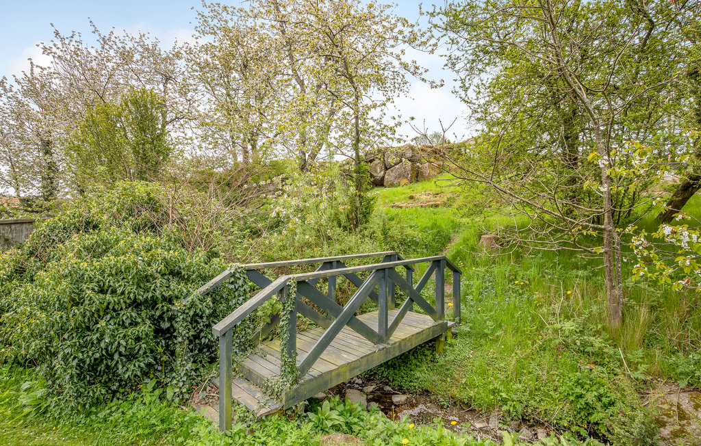 Ferieleilighet - Årsdale , Danmark - I58005 16