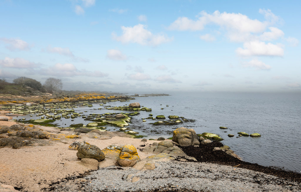 Ferienhaus - Årsdale , Dänemark - I58555 9