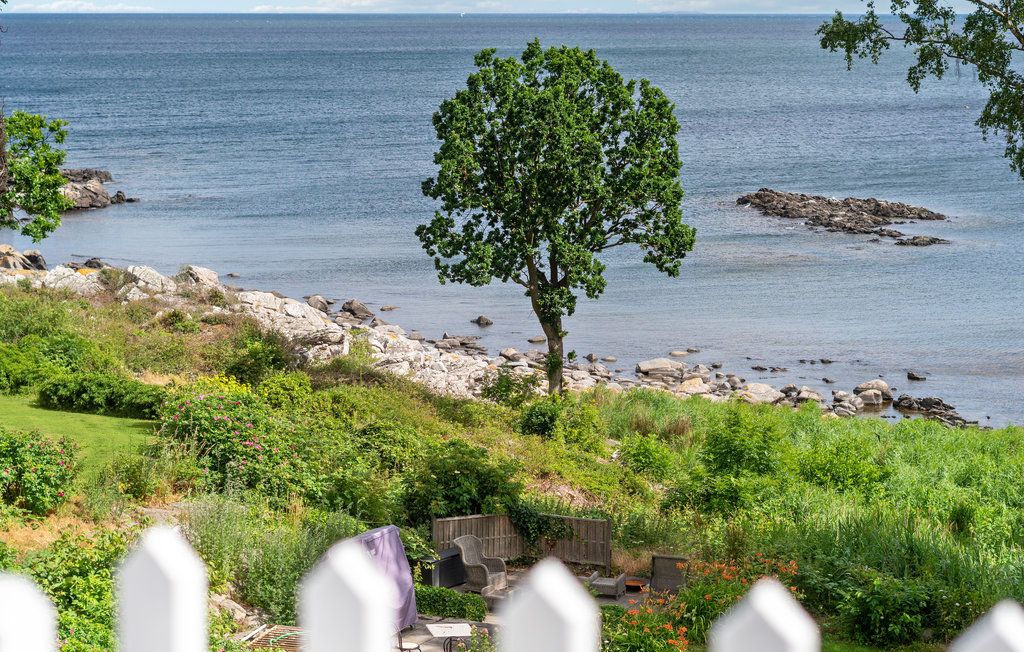 Ferienwohnung - Bølshavn , Dänemark - I58096 15