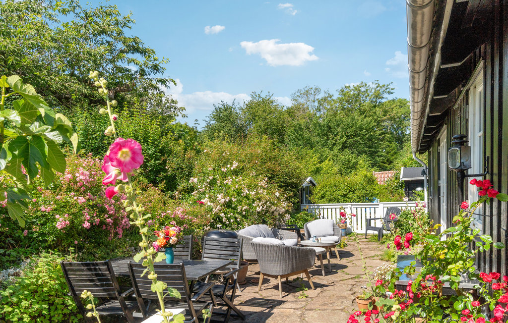 Ferienhaus - Bølshavn , Dänemark - I58972 14