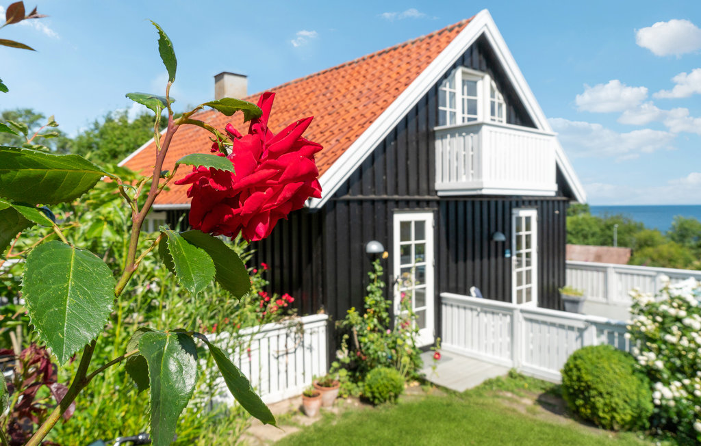 Ferienhaus - Bølshavn , Dänemark - I58972 11
