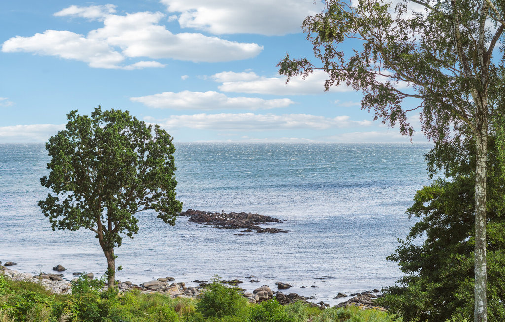 Ferieleilighet - Bølshavn , Danmark - I58097 14