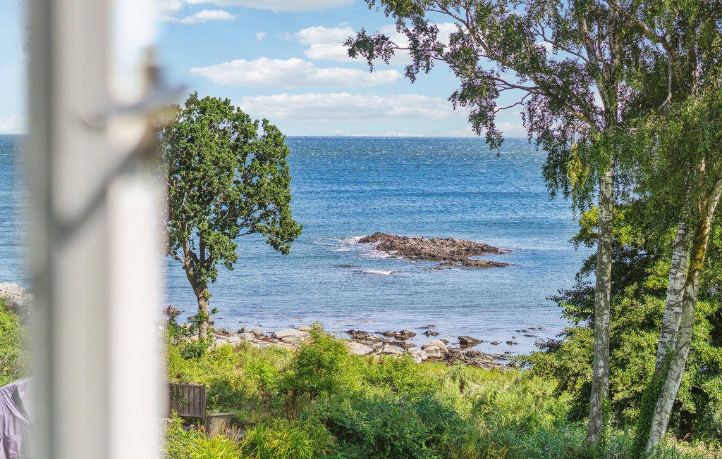 Ferienwohnung - Bølshavn , Dänemark - I58093 9