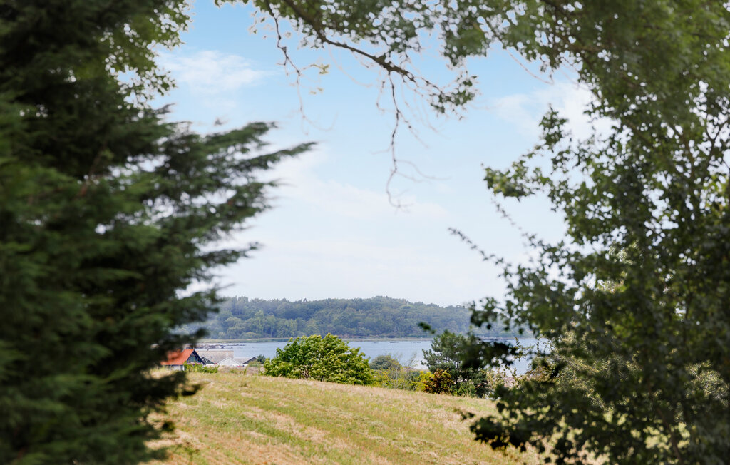 Ferienhaus - Årsdale , Dänemark - I58037 14