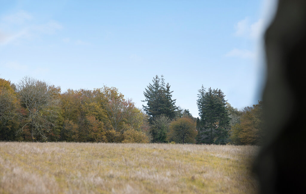 Ferienhaus - Østermarie , Dänemark - I58875 13