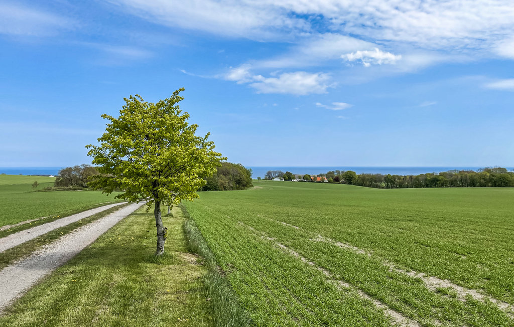 Ferienhaus - Olsker , Dänemark - I61407 8