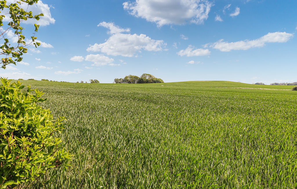 Feriehus - Klemensker , Danmark - I61451 20