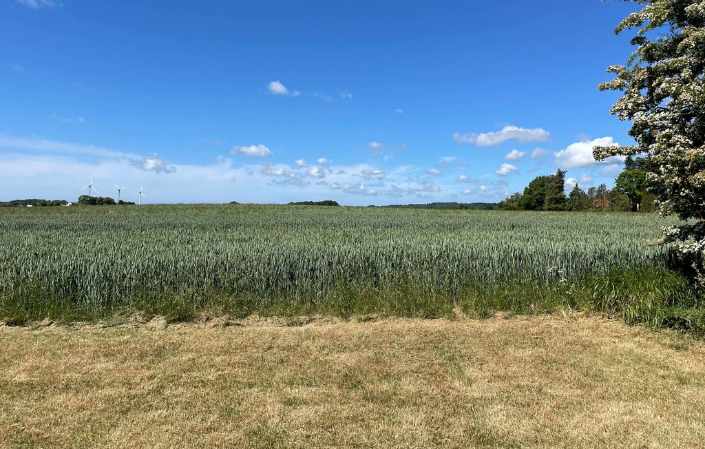 Ferienhaus - Bodilsker , Dänemark - I61478 15