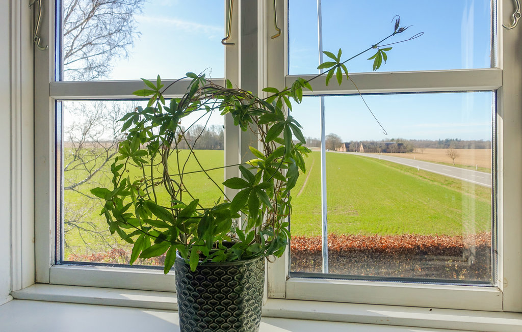 Ferieleilighet - Nyker , Danmark - I61318 16