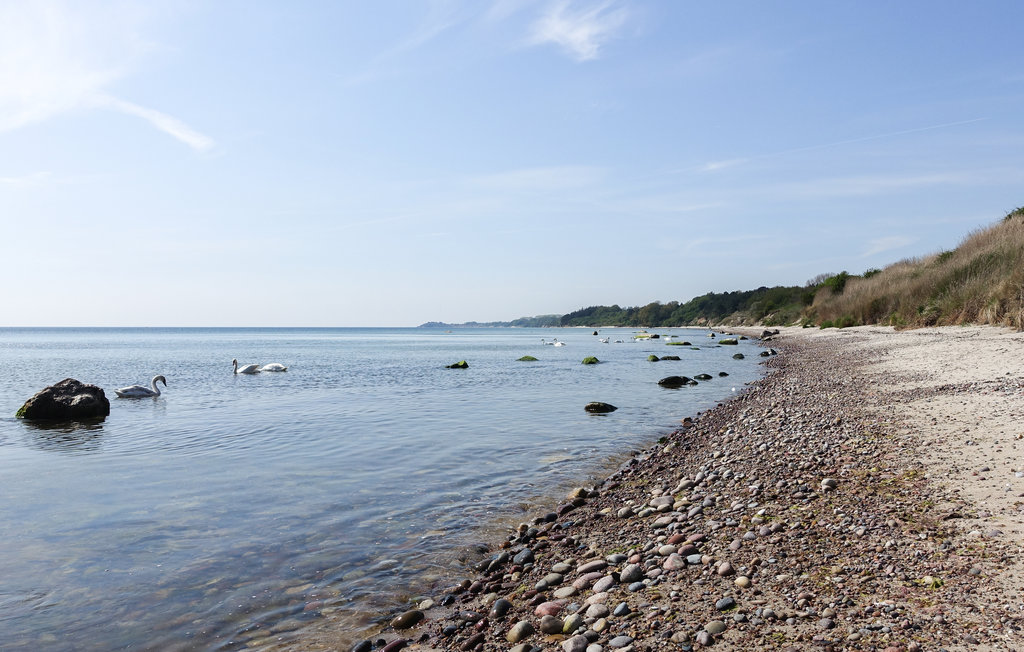 Ferienhaus - Boderne , Dänemark - I61238 33