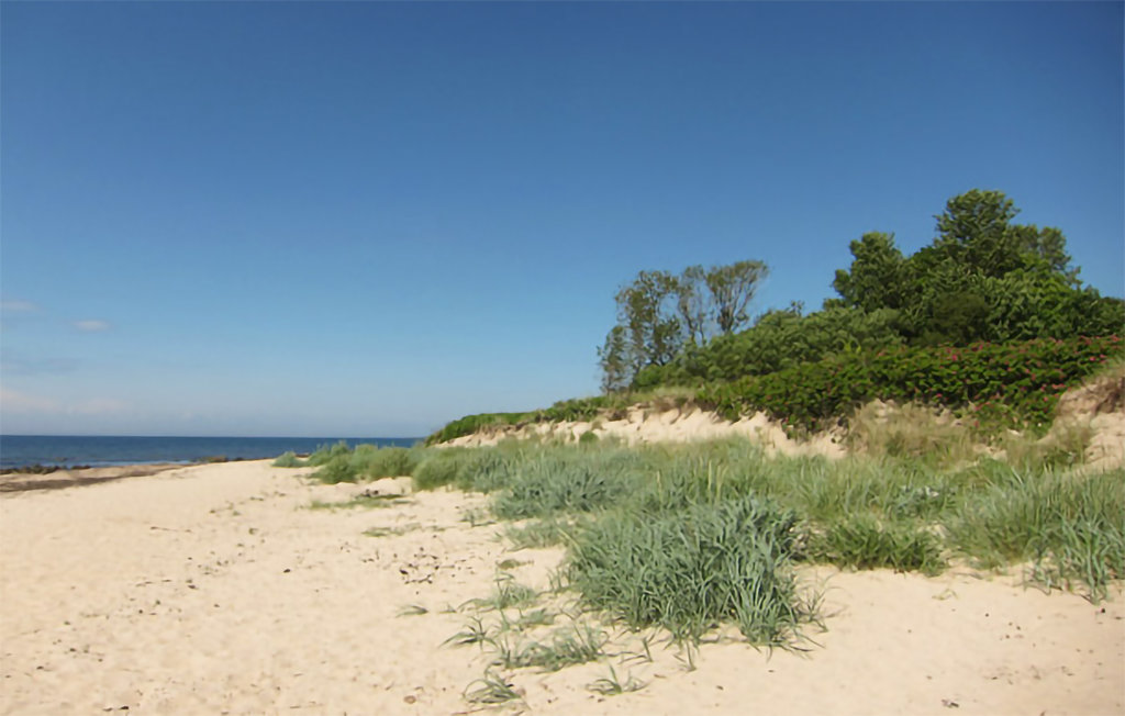 Feriehus - Hasle , Danmark - I61328 25