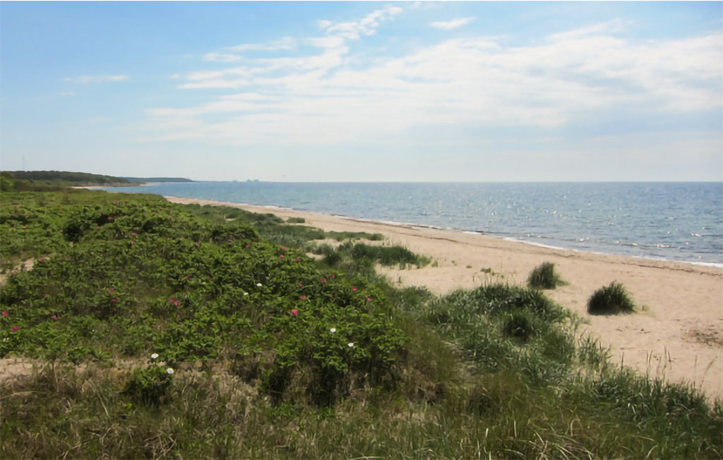 Feriehus - Hasle , Danmark - I61328 26