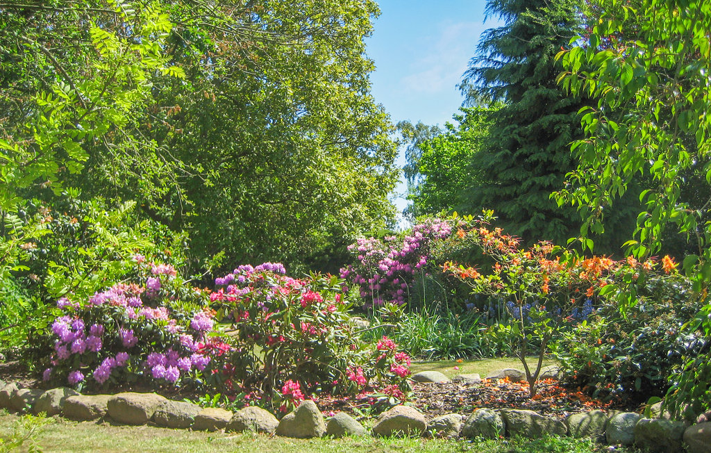 Feriehuse - Hasle , Danmark - I61321 16