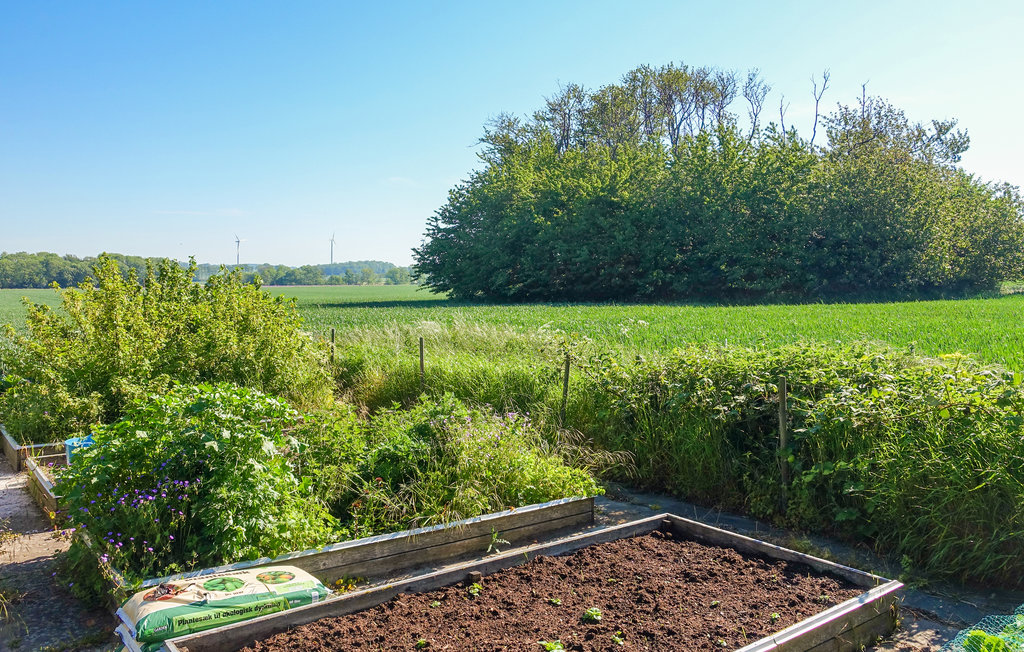 Ferieleilighet - Nyker , Danmark - I61318 12