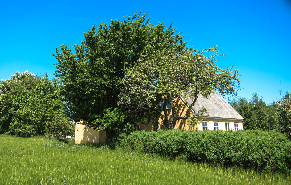 Ferienhaus - Østerlars , Dänemark - I61471 14