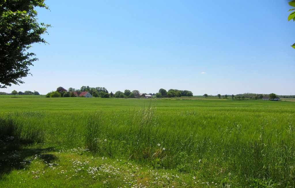 Ferienhaus - Østerlars , Dänemark - I61471 16