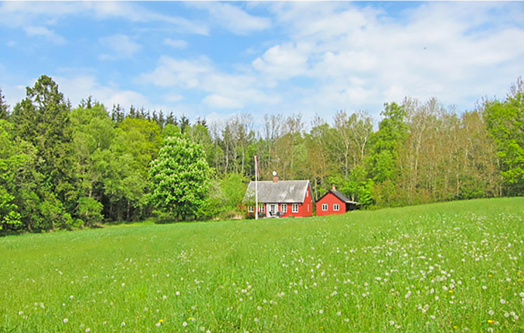 Ferienhaus - Årsdale , Dänemark - I61472 9