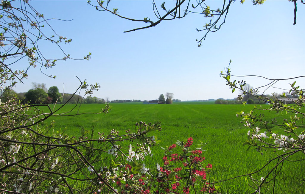 Ferienhaus - Østre Sømark , Dänemark - I61474 22