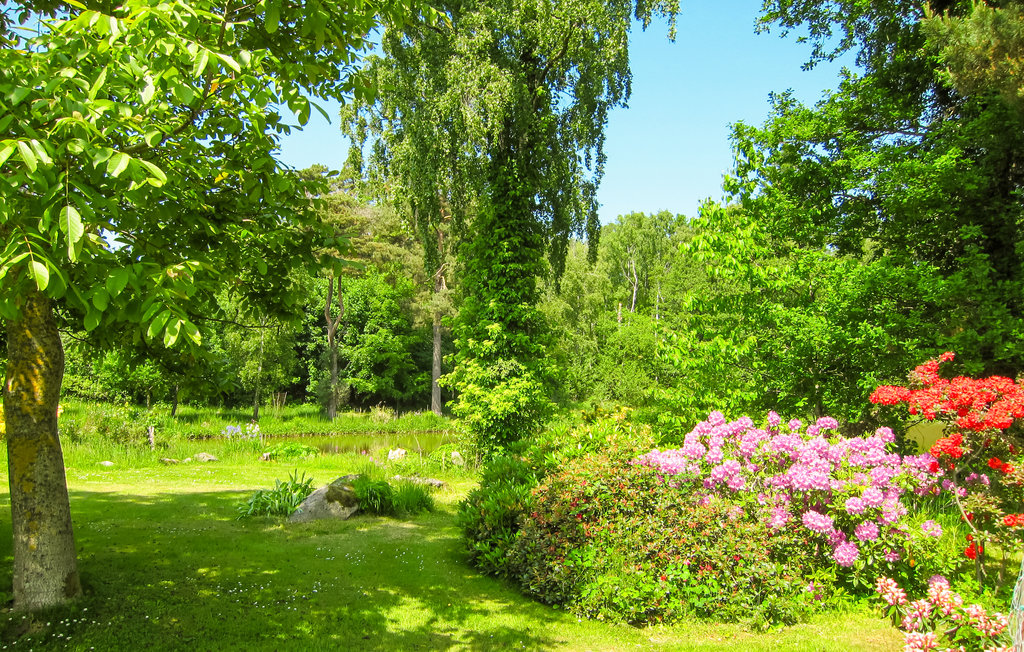 Feriehuse - Østermarie , Danmark - I61467 20