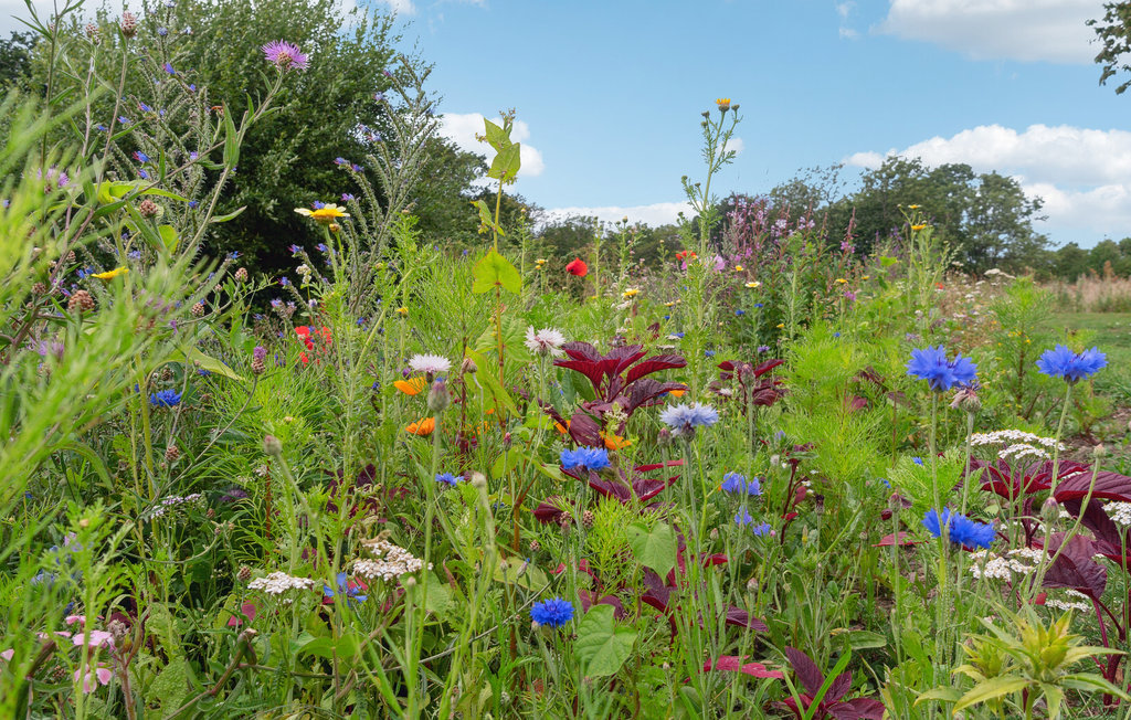 Feriehus - Rutsker , Danmark - I61481 17