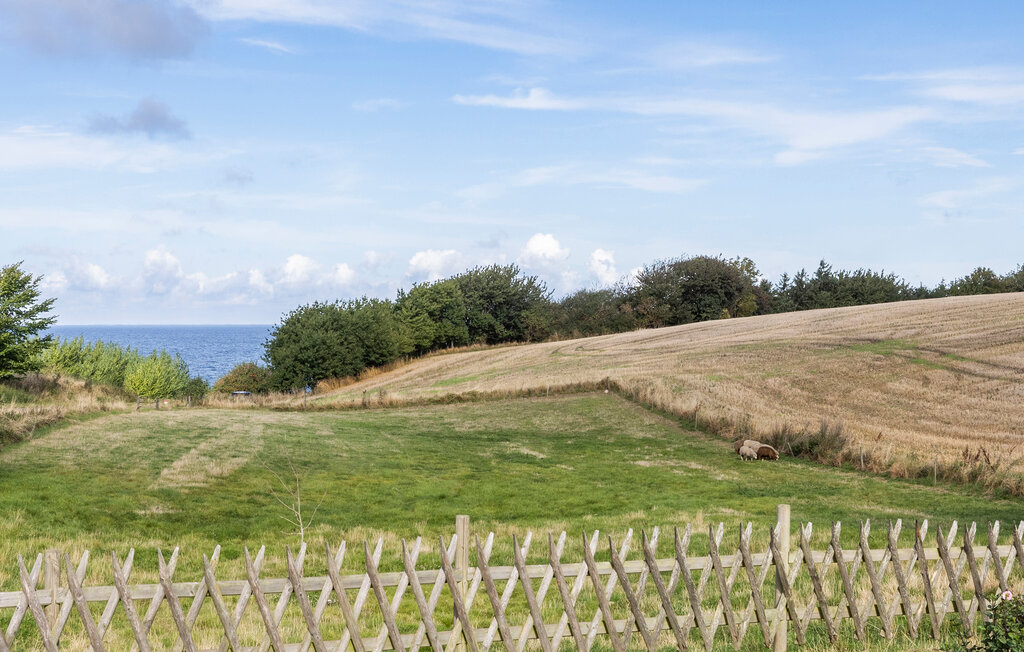 Ferienwohnung - Hasle , Dänemark - I61354 11