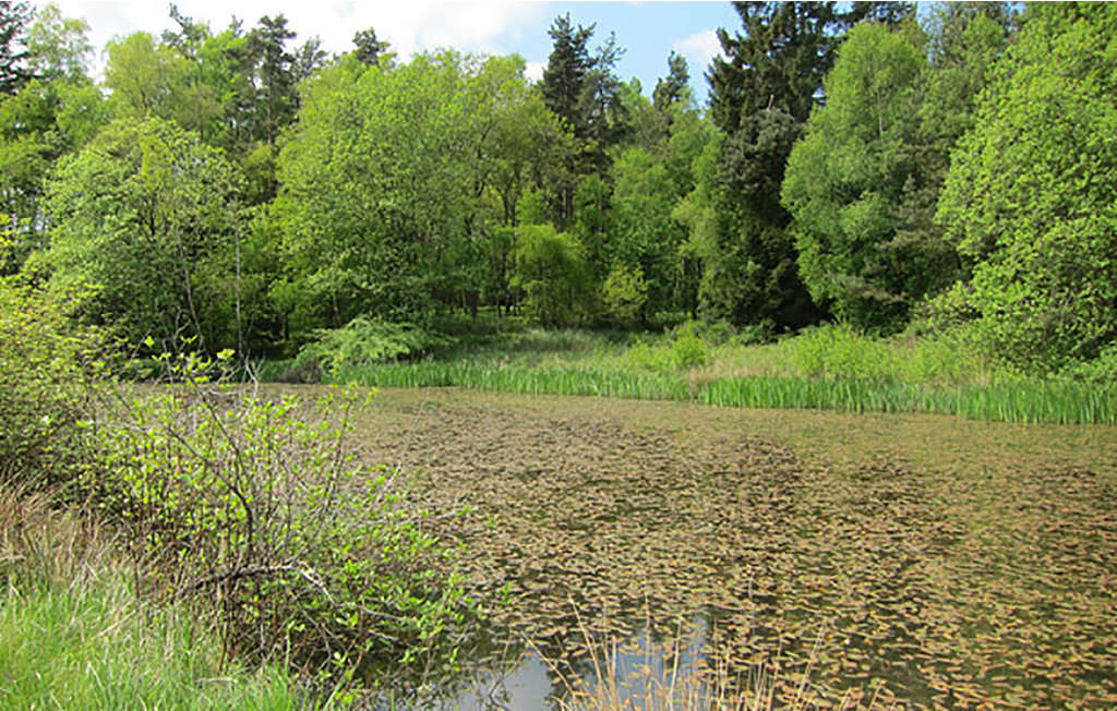 Bild 17