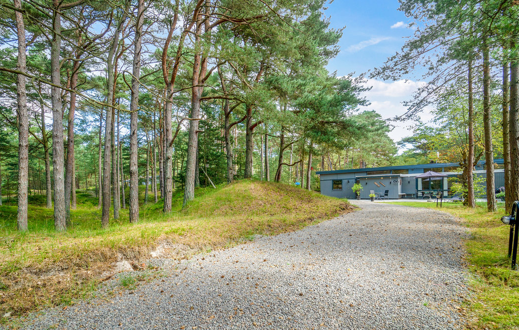Ferienhaus - Dueodde , Dänemark - I62839 9