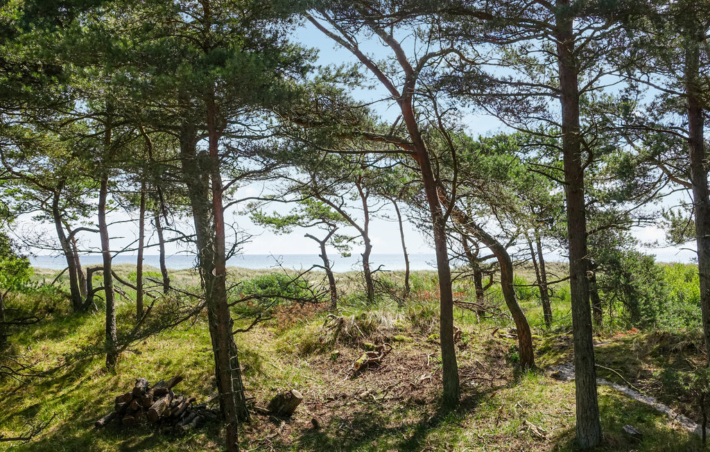 Ferienhaus - Dueodde , Dänemark - I62865 19