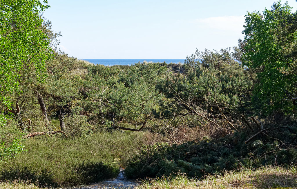 Feriehuse - Dueodde , Danmark - I62804 14