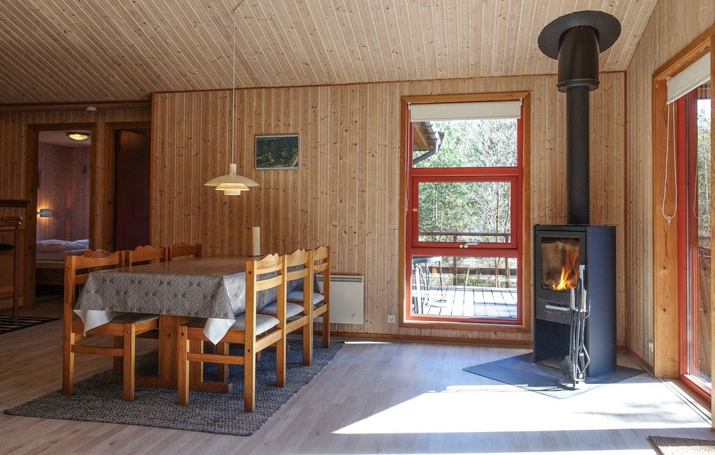 Ferienhaus - Dueodde , Dänemark - I62866 5