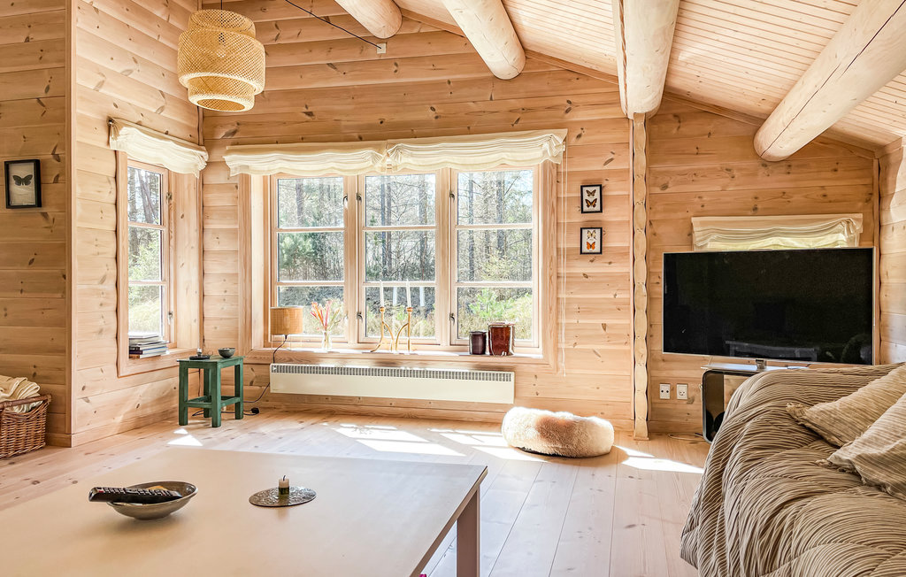 Feriehuse - Dueodde , Danmark - I62795 15