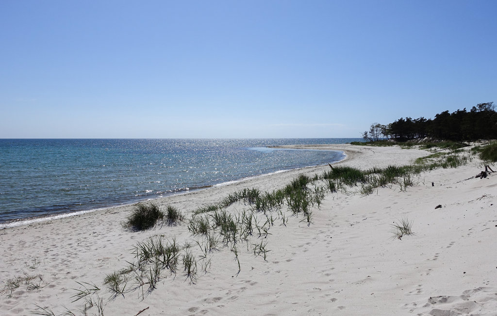 Feriehus - Dueodde , Danmark - I62824 8