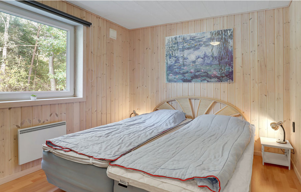 Ferienhaus - Dueodde , Dänemark - I62743 18