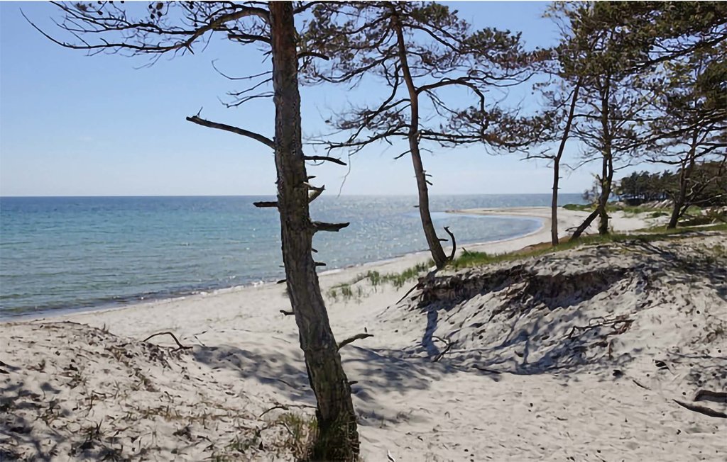 Ferienhaus - Dueodde , Dänemark - I62730 21