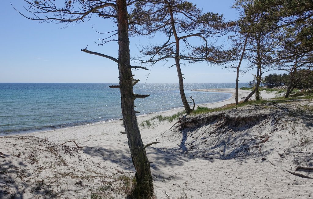 Feriehus - Dueodde , Danmark - I62824 37