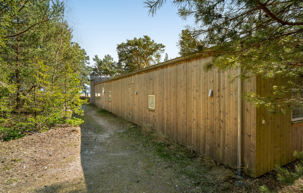 Ferienhaus - Dueodde , Dänemark - I62865 18