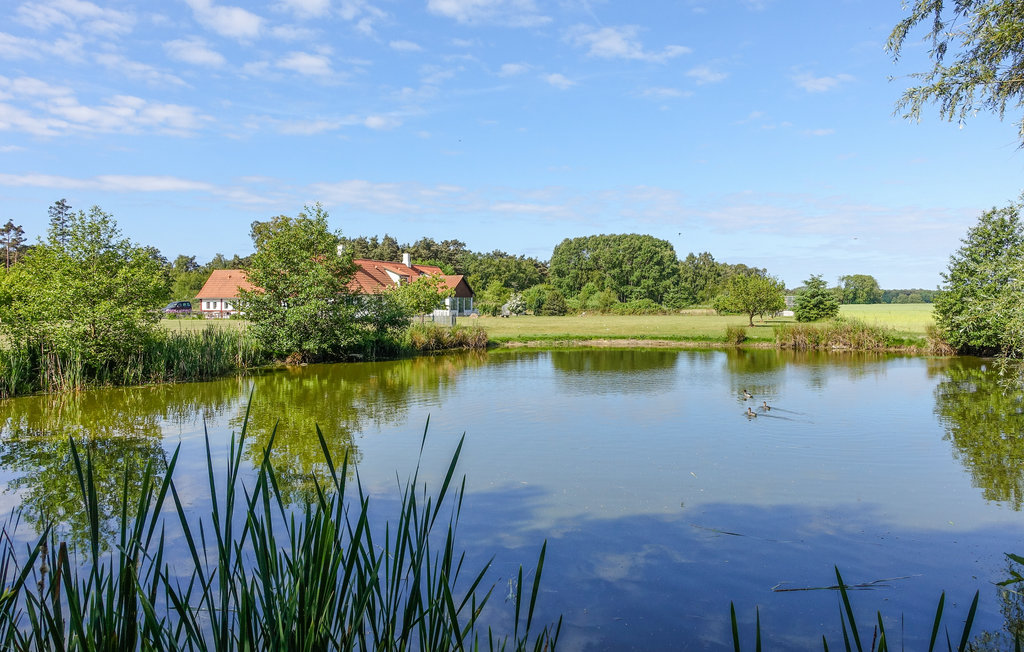 Ferienwohnung - Dueodde , Dänemark - I62871 17