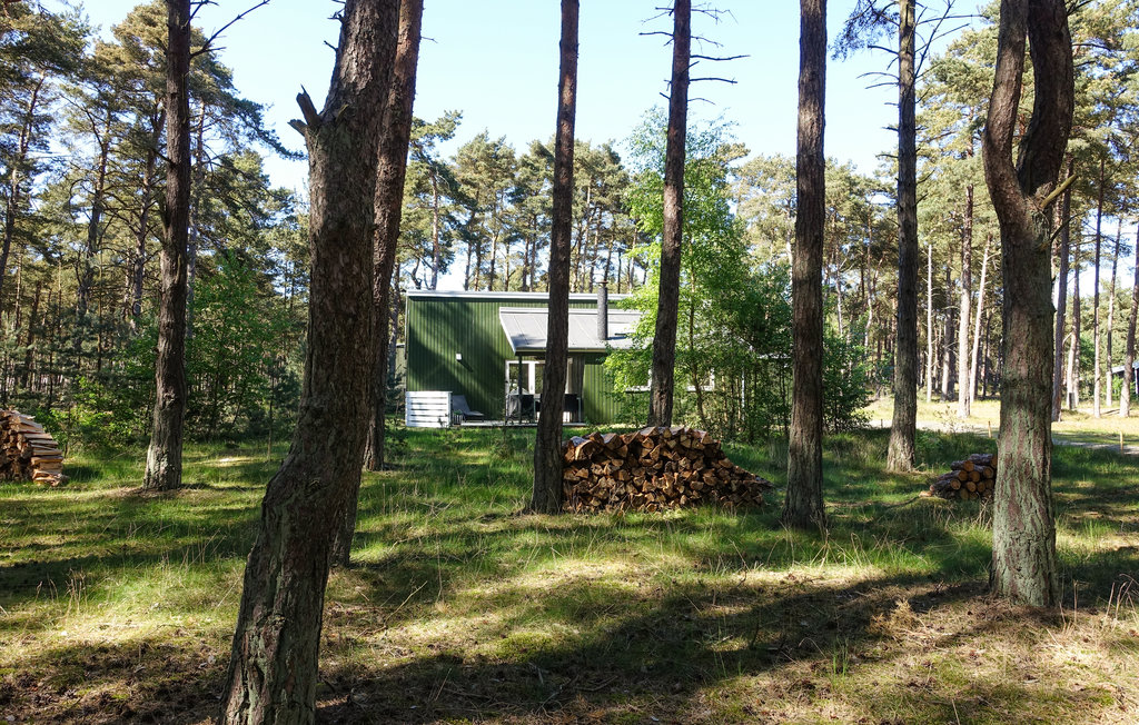 Feriehus - Dueodde , Danmark - I62824 19